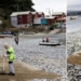 mystery thousands of dead fish washed up on beach in chile 119002