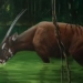 mythical creatures sea games 31 ancient species are the most mysterious in the world 120378