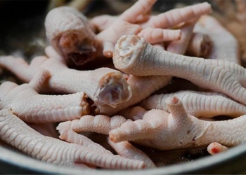 myths about chicken legs that many people fall for 120278