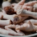 myths about chicken legs that many people fall for 120278