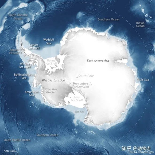 If polar bears lived in Antarctica, they would disrupt the ecological balance.