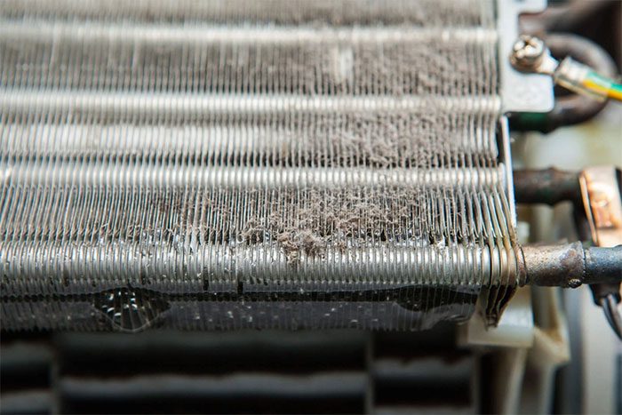 Careful inspection to avoid confusing mold with dirt.