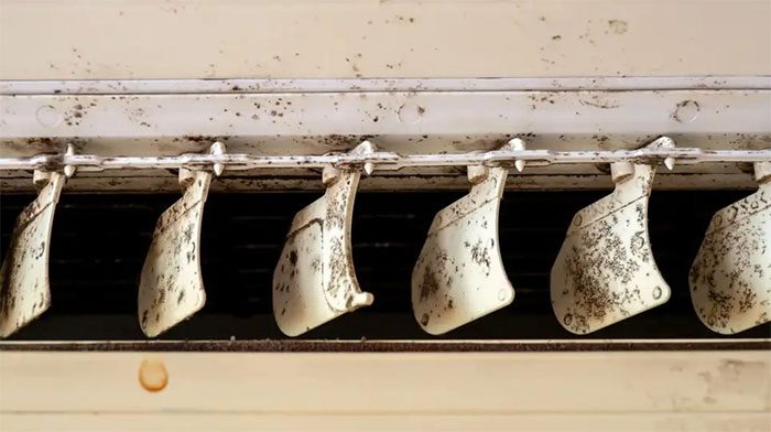 Severe mold signs on the air conditioning unit.