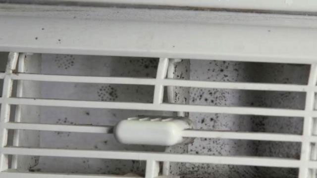 Shining a light is a simple way to find mold.