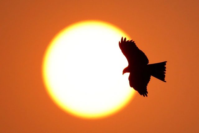 In 2016, India faced extremely severe heat conditions