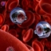 nano robot antibacterial around wound 120950