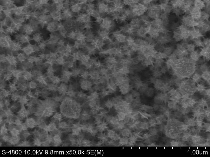 Star-shaped nanoparticles under an electron microscope.