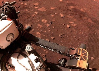 nasa brings mars rocks to earth says its not alien bacteria 120416