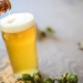 nasa launches beer into space to do what 120751