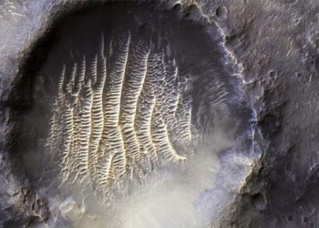 nasa releases fingerprint images on another planet 120127