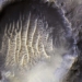 nasa releases fingerprint images on another planet 120127