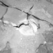nasa releases image of smoky extraterrestrial meat is it a peaceful existence 121622