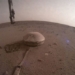 nasa sends last photo of saturn 124015