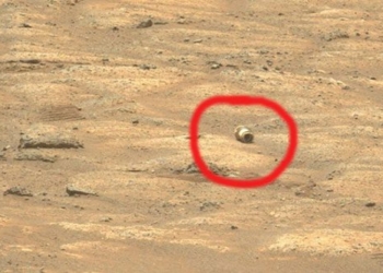nasas perseverance robot lands on mars 119101
