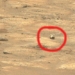 nasas perseverance robot lands on mars 119101