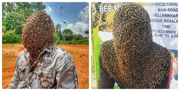 Nature M.S is pursuing academic studies in beekeeping.