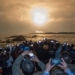 netizen shares video of artificial sun launched into the sky in china what is the truth 118290