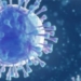 new corona virus detected in switzerland unknown if dangerous to humans 120986