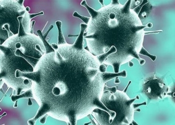 new danger from the escape of new viruses 122377