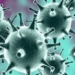 new danger from the escape of new viruses 122377