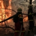 new discovery about brown carbon increases earths temperature 119541