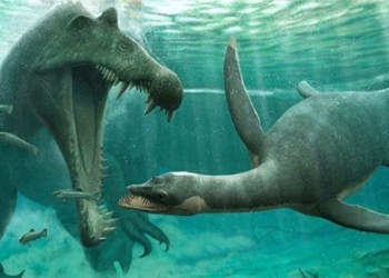 new discovery about monster in loch ness has ability to live 122033