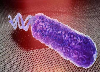 new discovery bacteria release sound only when exposed to antibiotics 120283