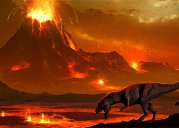 new discovery challenges not the thing that makes dinosaurs extinct 123128