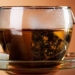 new discovery finds hundreds of dna barcodes of insects in tea bags 122882