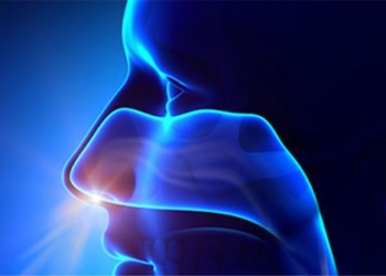 new discovery on the cause of loss of smell due to covid 19 119971