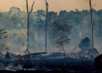 new diseases caused by climate change 123162