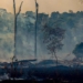 new diseases caused by climate change 123162