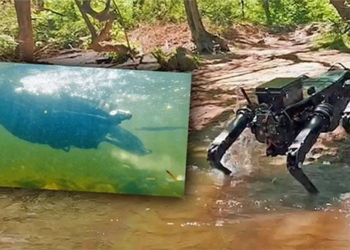new generation robot can swim in water 121194
