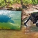 new generation robot can swim in water 121194