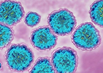 new hope in developing vaccine against hepatitis c 124537