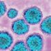 new hope in developing vaccine against hepatitis c 124537