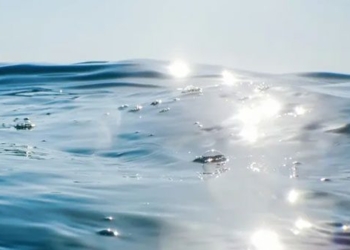 new research into physical objects in the ocean 124352