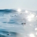 new research into physical objects in the ocean 124352
