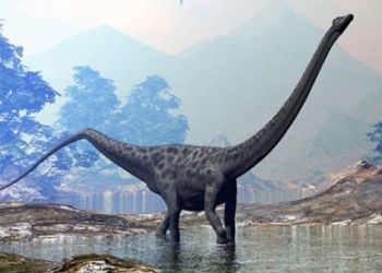 new research reveals the strange movement of giant dinosaurs 119227