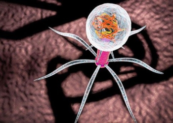 new research shows viruses can hear and see us 123502