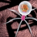 new research shows viruses can hear and see us 123502
