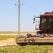 new technology helping ai accelerate in the journey on sand mac 122000