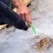 new technology helps free prince from 1 300 year old prison 121475