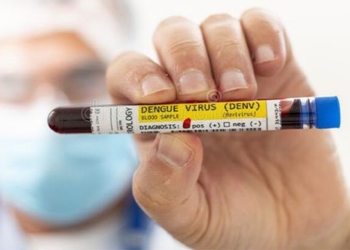 new technology helps quickly diagnose dengue fever 119955