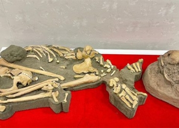 newly discovered ancient human remains in dak nong volcanic cave 124399