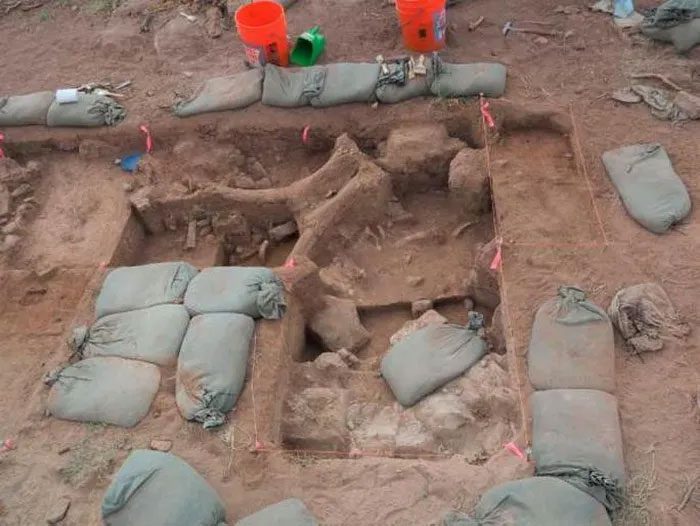 Excavation site on Professor Timothy Rowe's property