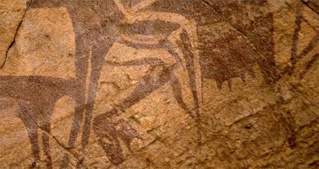 Cattle carvings in Wadi Sura, Egypt.