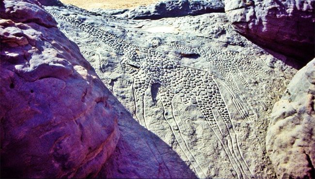 Rock art depicting the prosperous era in the Djado plateau.
