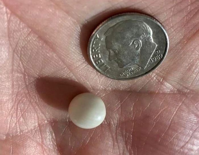Discovering a valuable pearl while eating an appetizer.
