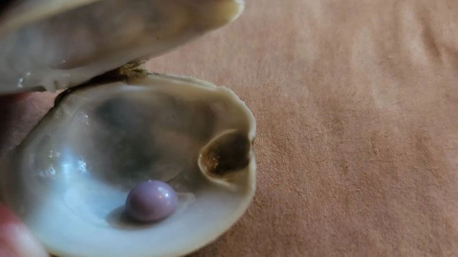 Purple Pearl
